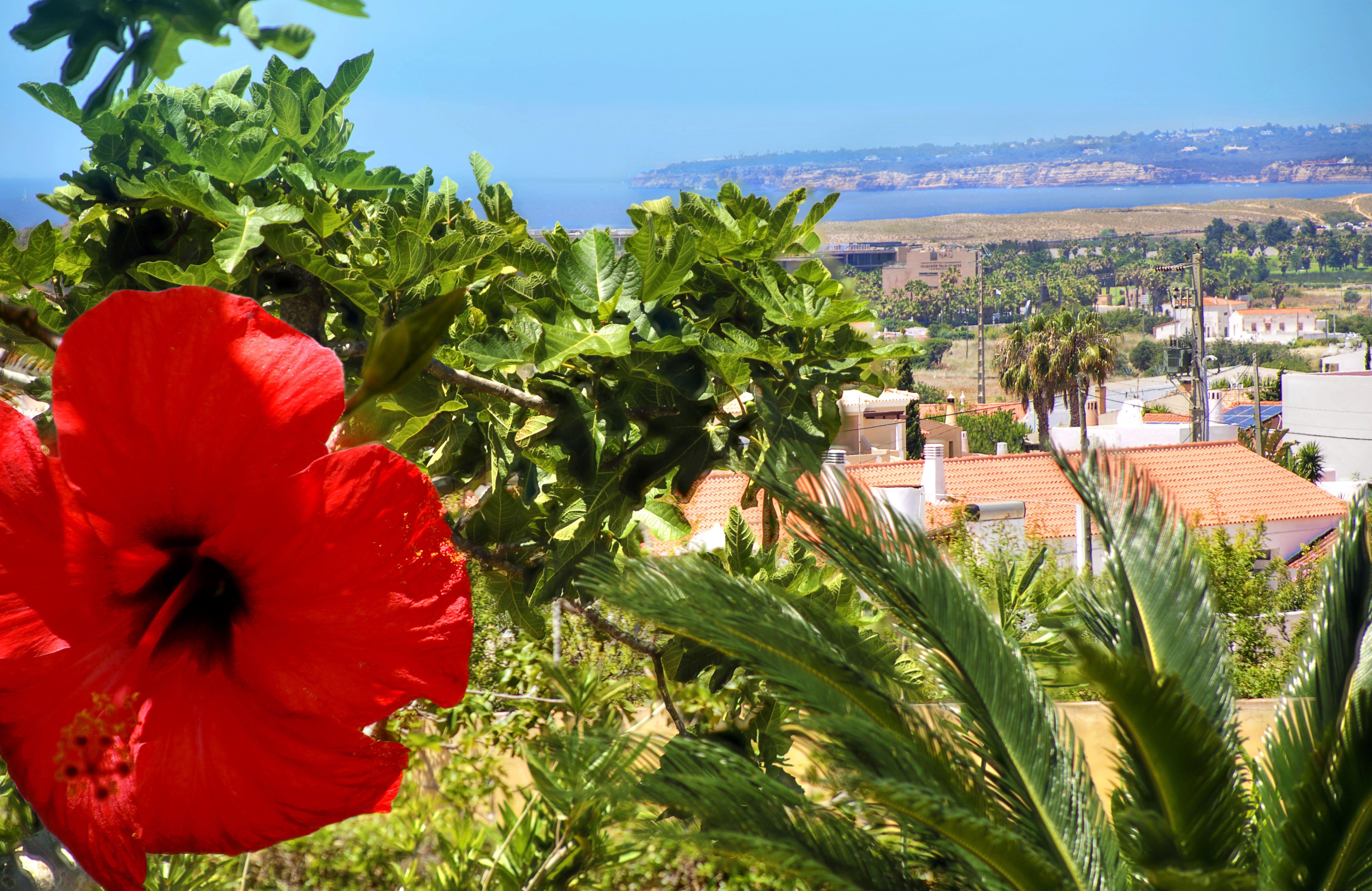 Parque Monte Verde Albufeira Bagian luar foto